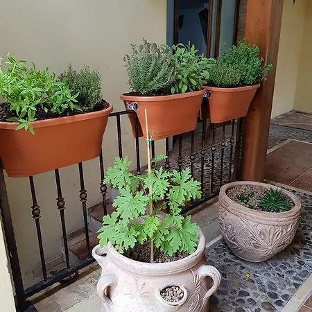 La Corte 3* برنالدا